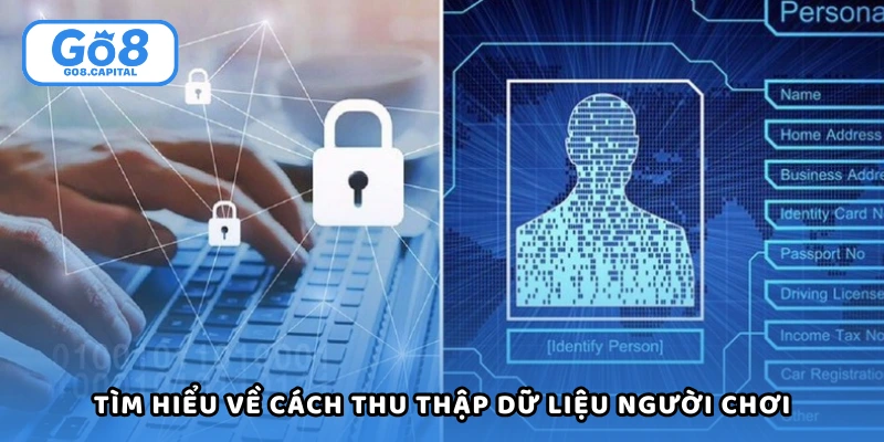 Tìm hiểu về cách hệ thống thu thập dữ liệu người chơi